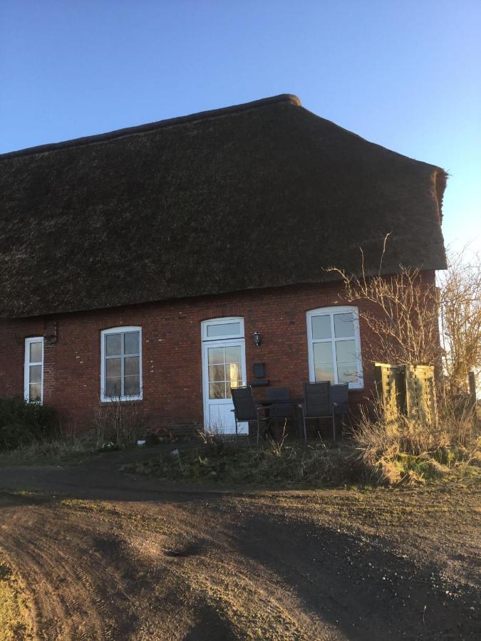 Ferienwohnung-Haus-Luetje-Wehr Hattstedtermarsch Dış mekan fotoğraf